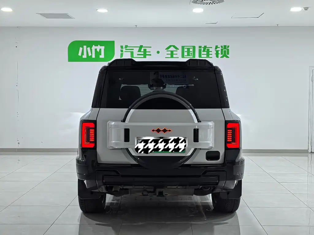 FANG CHENG BAO LEOPARD 8