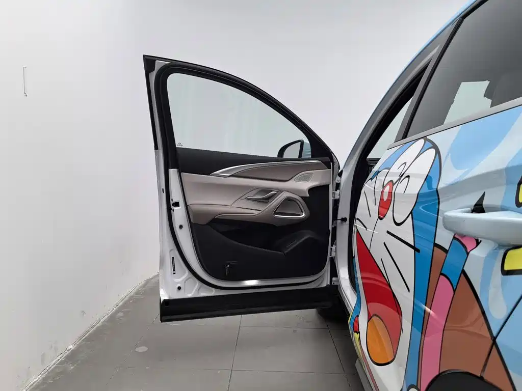 BYD Pro New Energy — миниатюра 8