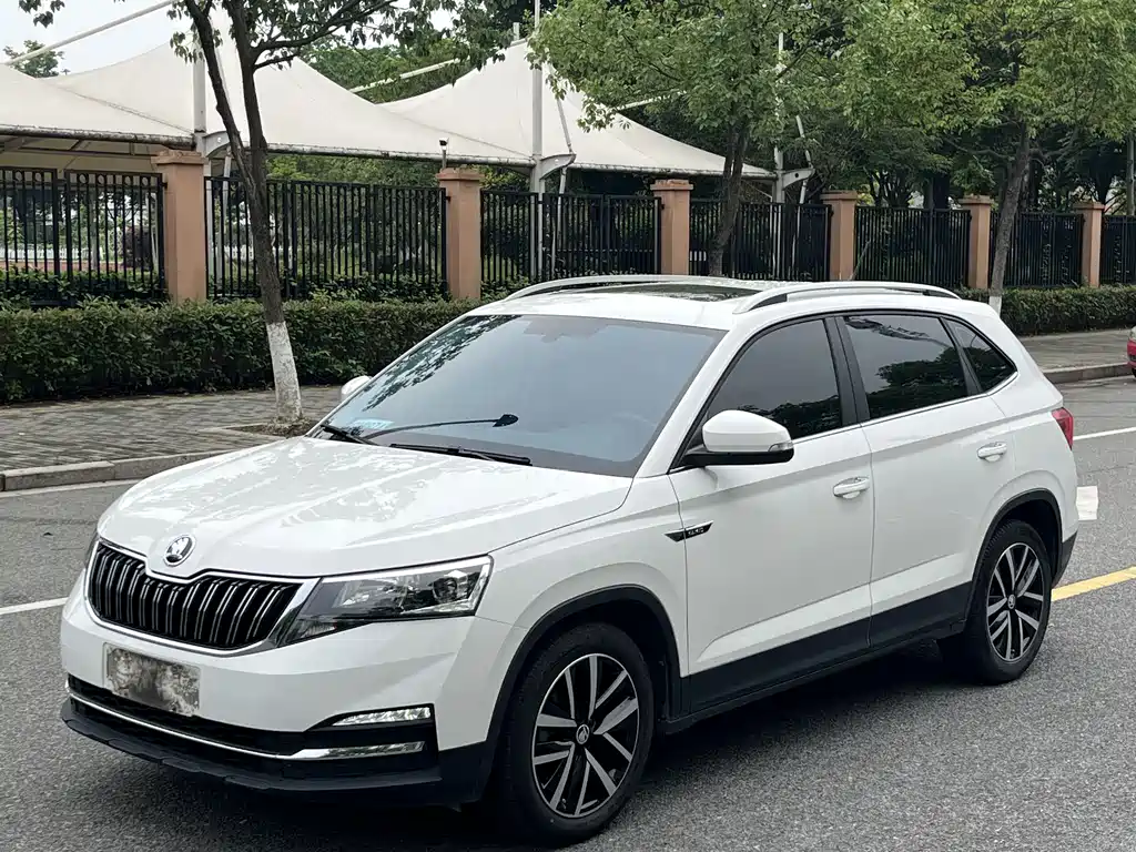 Купить Skoda Kamiq