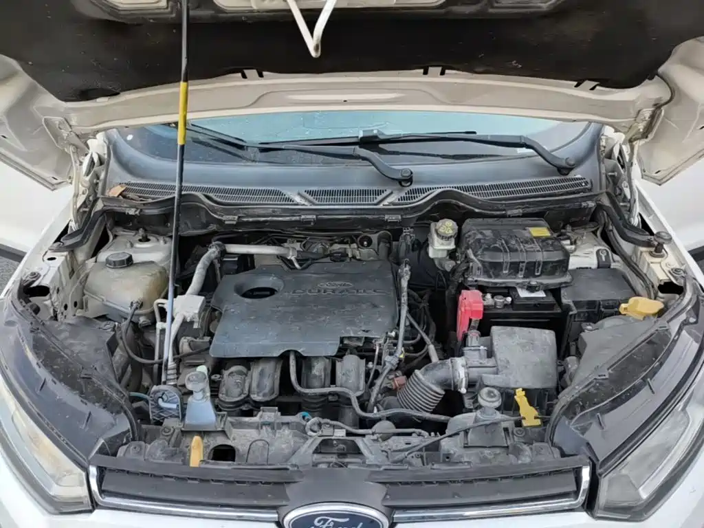 Ford Ecosport — миниатюра 20