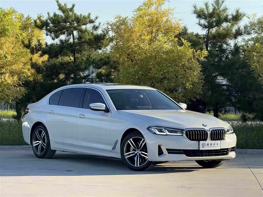 BMW 5 Series — миниатюра 3