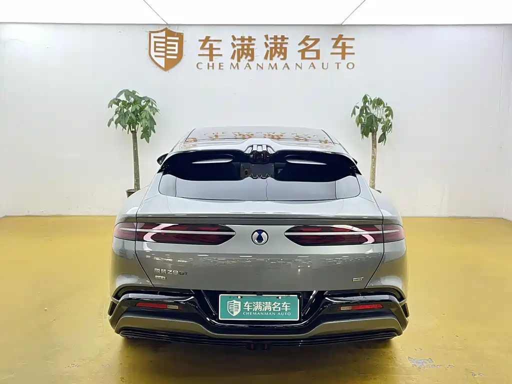 Denza Denza Z9GT — миниатюра 9