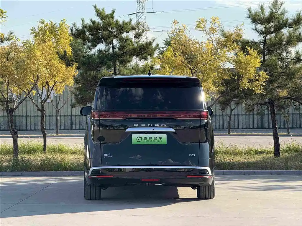 Denza Denza D9 — миниатюра 36