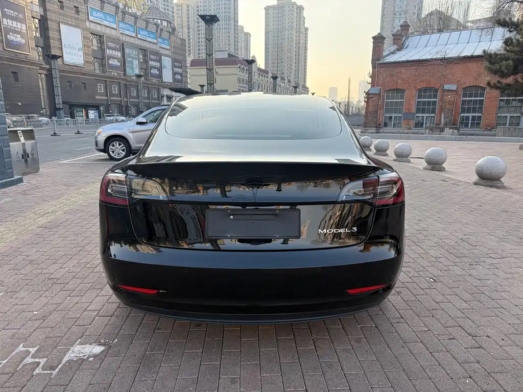 Tesla Model 3 — миниатюра 8