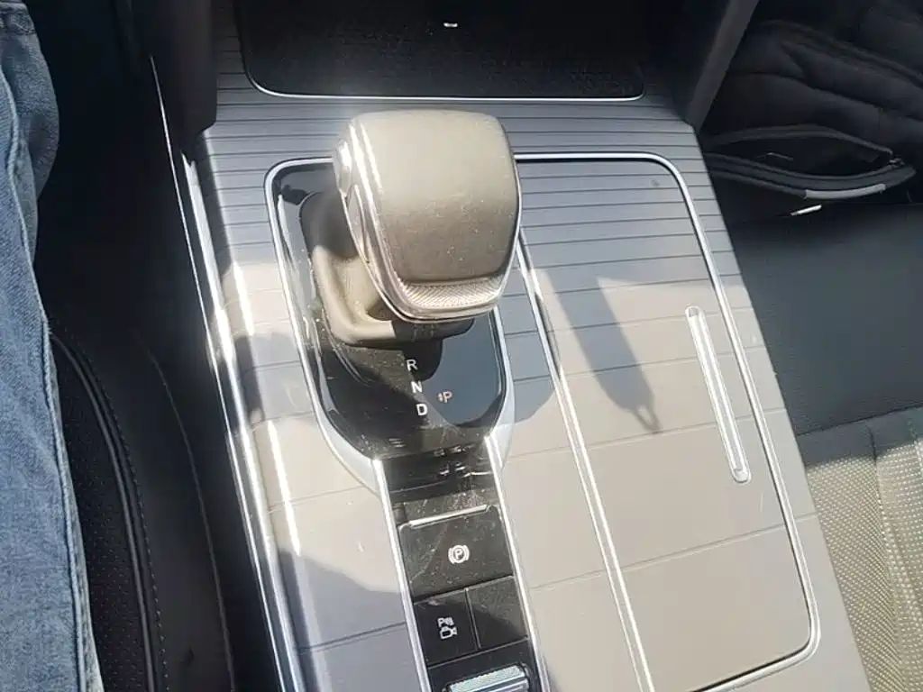 Hongqi Hongqi HS7 PHEV — миниатюра 14