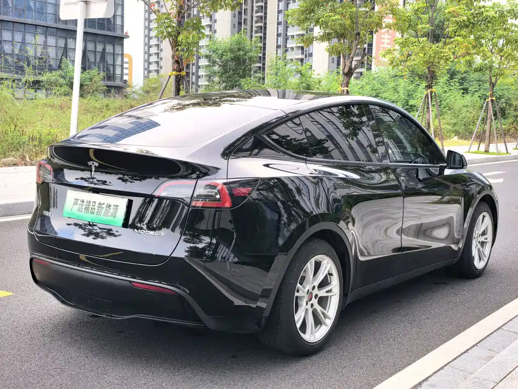 Tesla Model Y — миниатюра 6