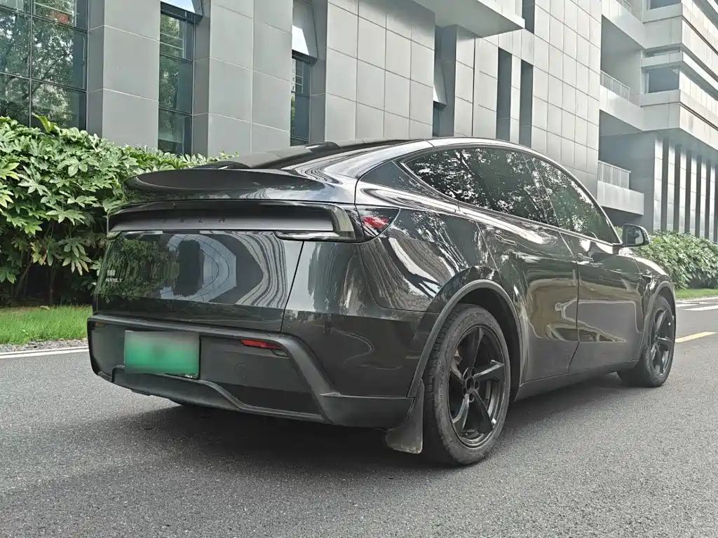 Tesla Model Y — миниатюра 8