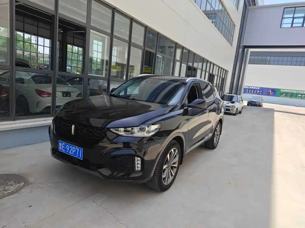 Купить Wey Wey VV6