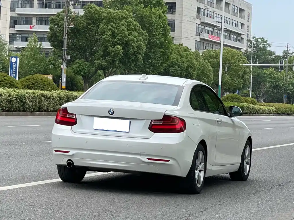 BMW 2 Series 2 2014 220i Lead