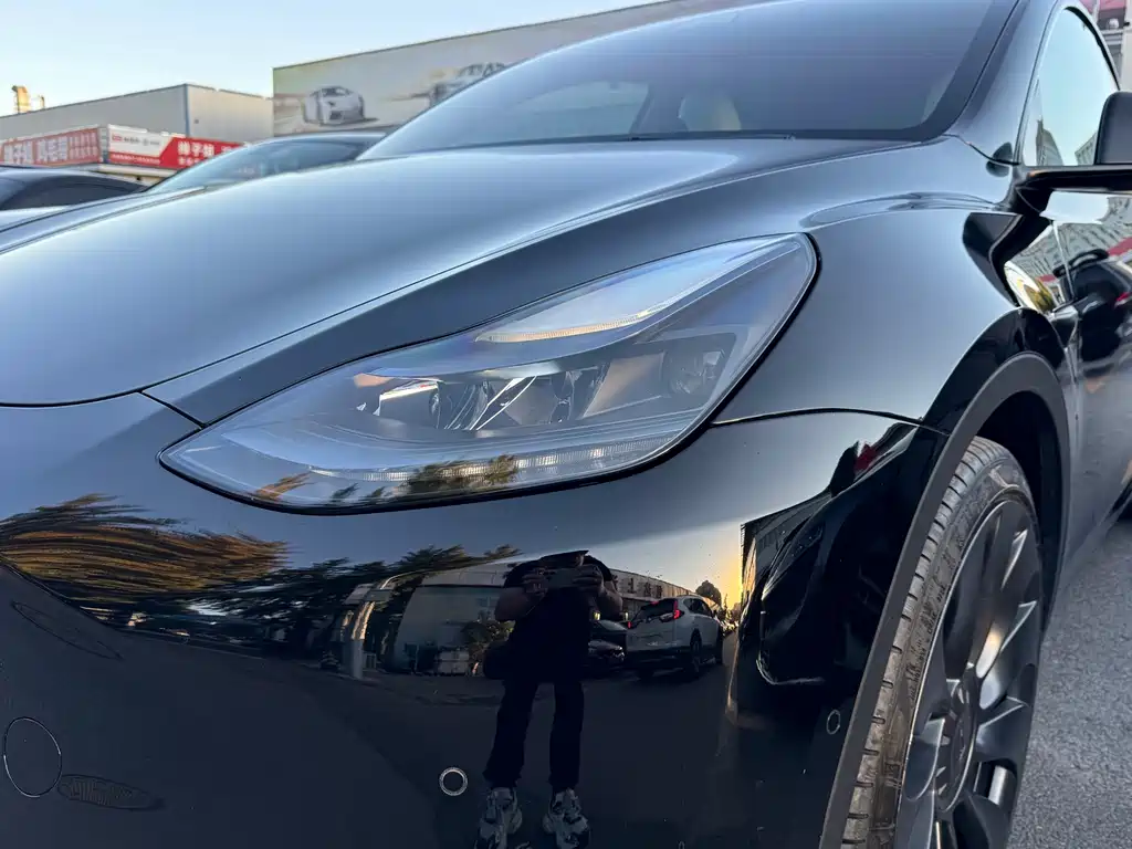 Tesla Model Y — миниатюра 4