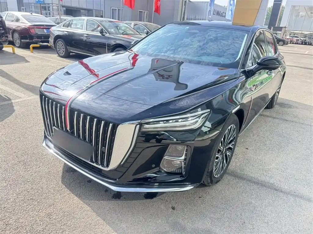 Hongqi Hongqi H5 2024