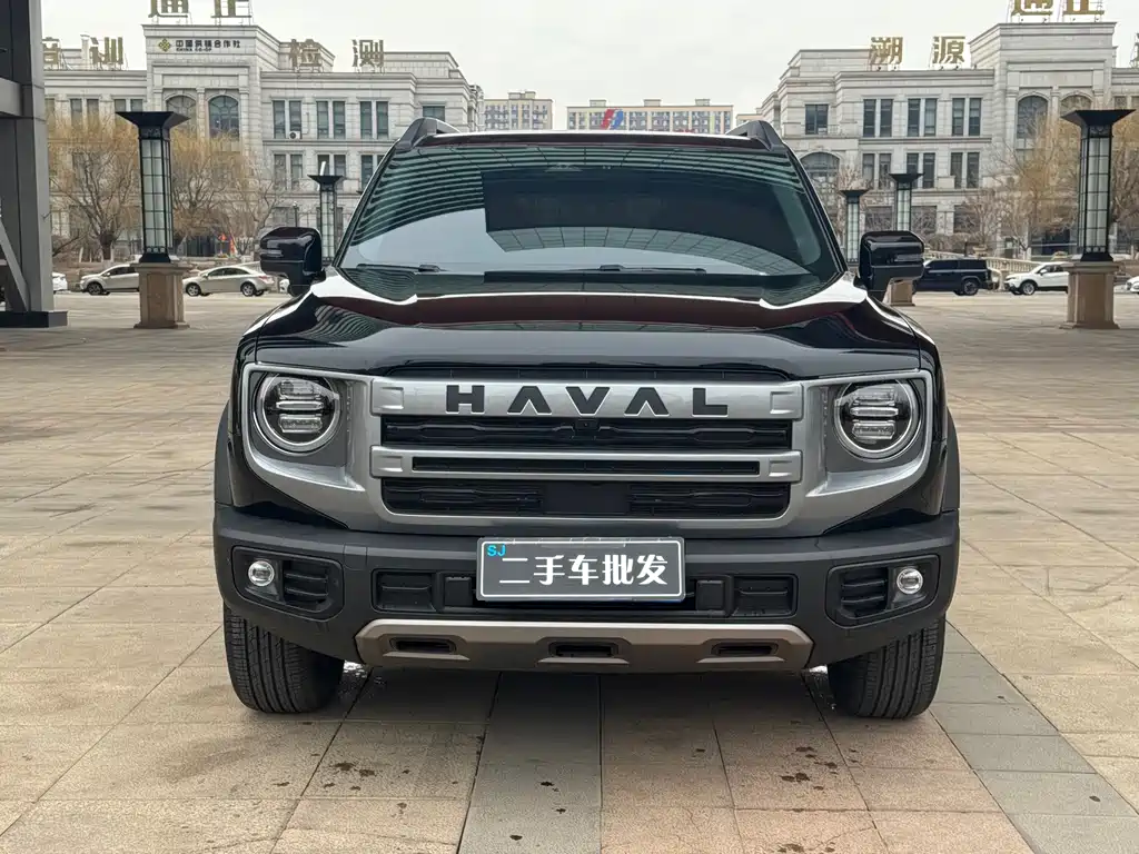 HAVAL BIG DOG