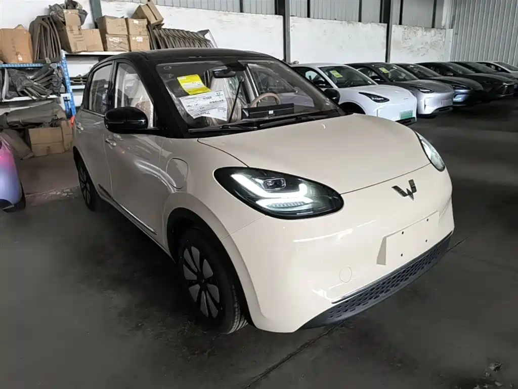 Wuling Binguo 2025 333km Enjoy