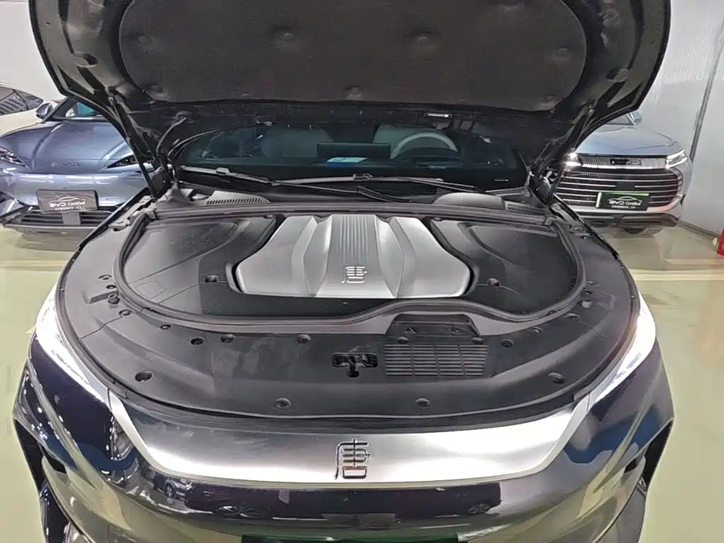 BYD Tang New Energy — миниатюра 20