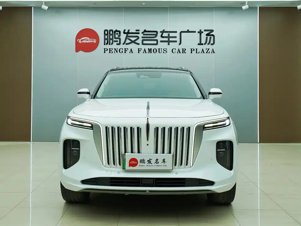 Hongqi E-HS9 2022 660km мест