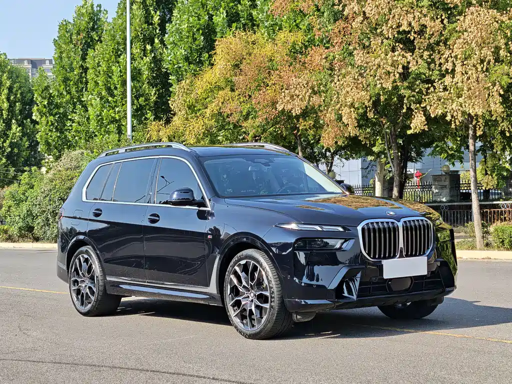 BMW X7 — миниатюра 3