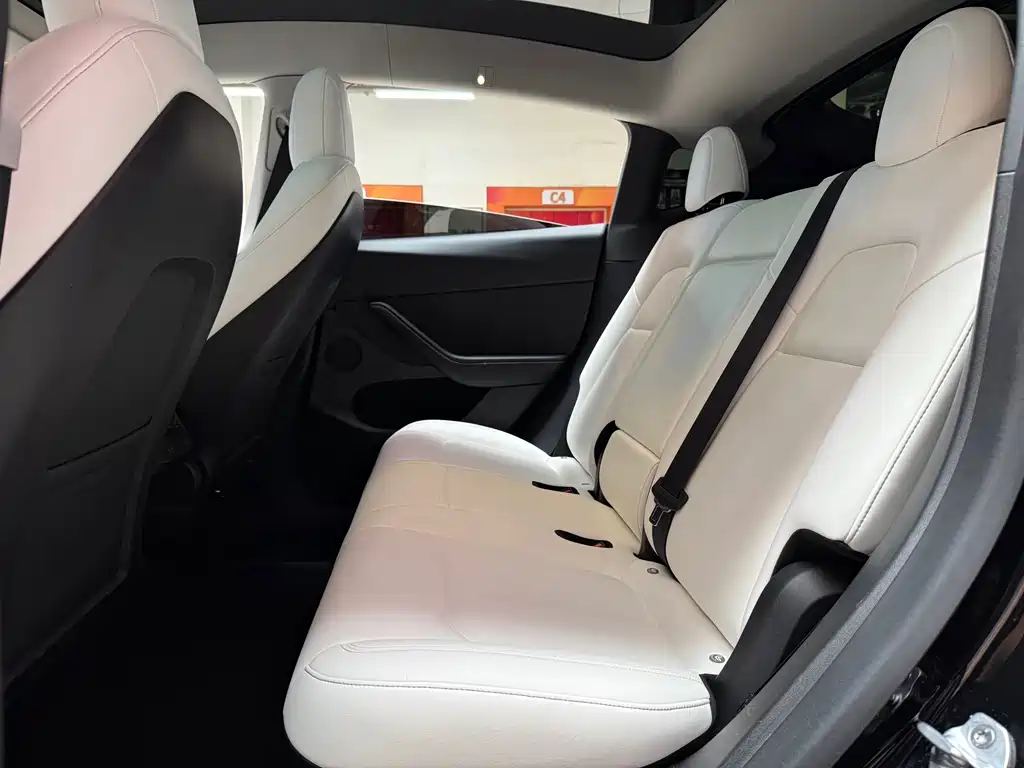 Tesla Model Y — миниатюра 12