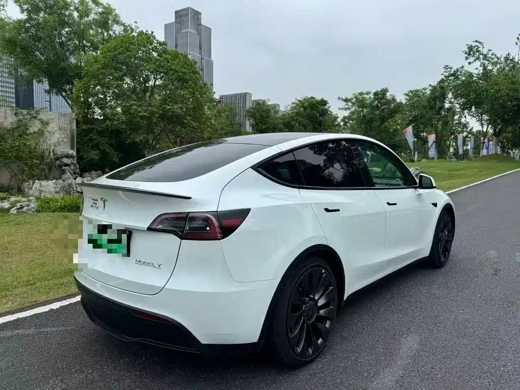 Tesla Model Y — миниатюра 5