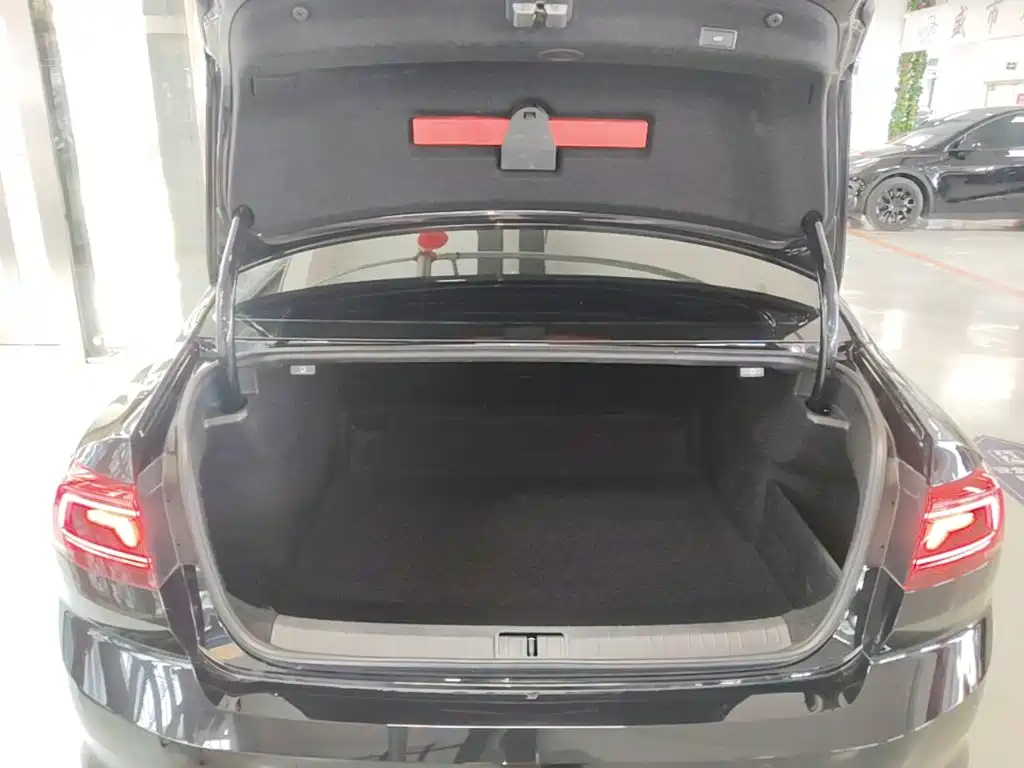Volkswagen Magotan — миниатюра 19