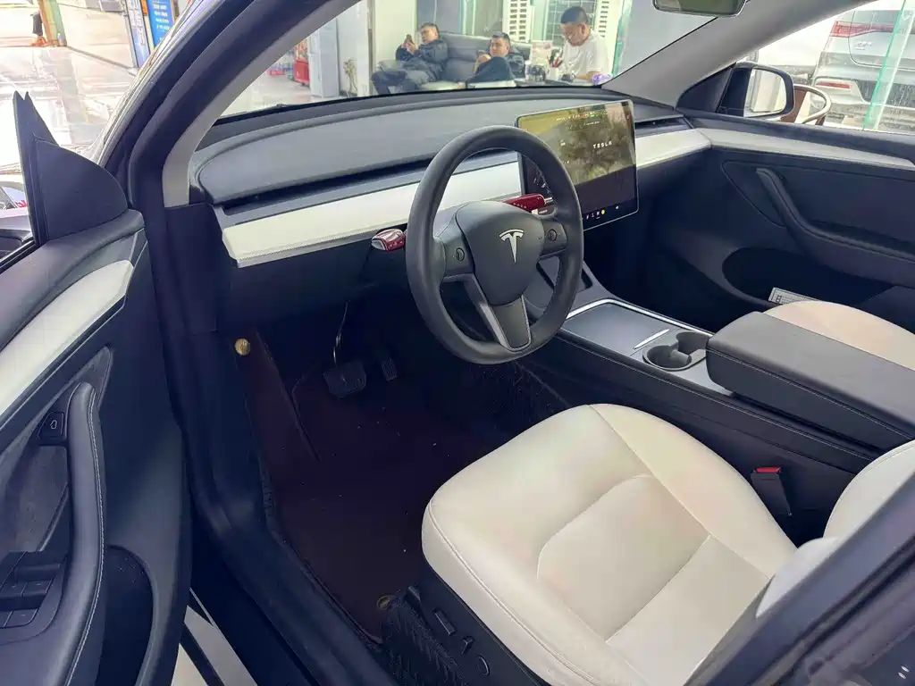 Tesla Model Y — миниатюра 7