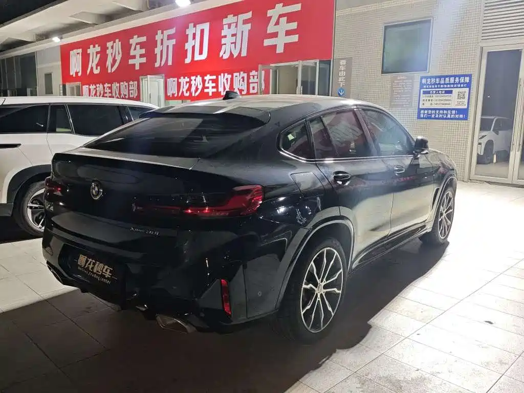 BMW X4 — миниатюра 7