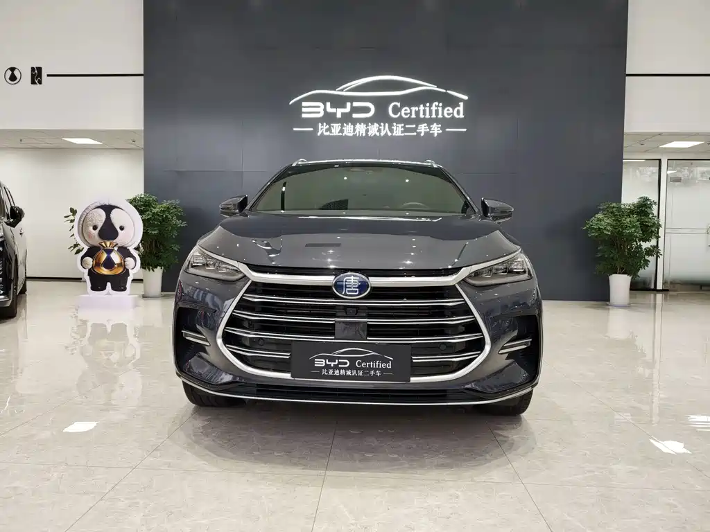 BYD Tang New Energy — миниатюра 2