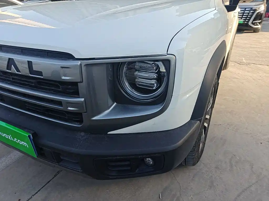 Haval Big Dog — миниатюра 24