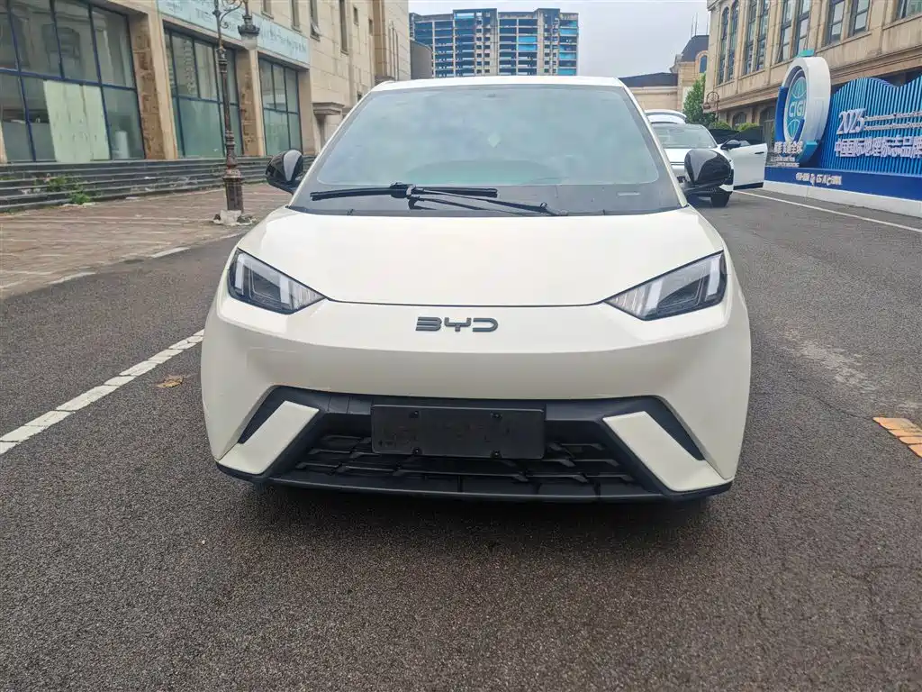 BYD Seagull 2024 305km Freedom
