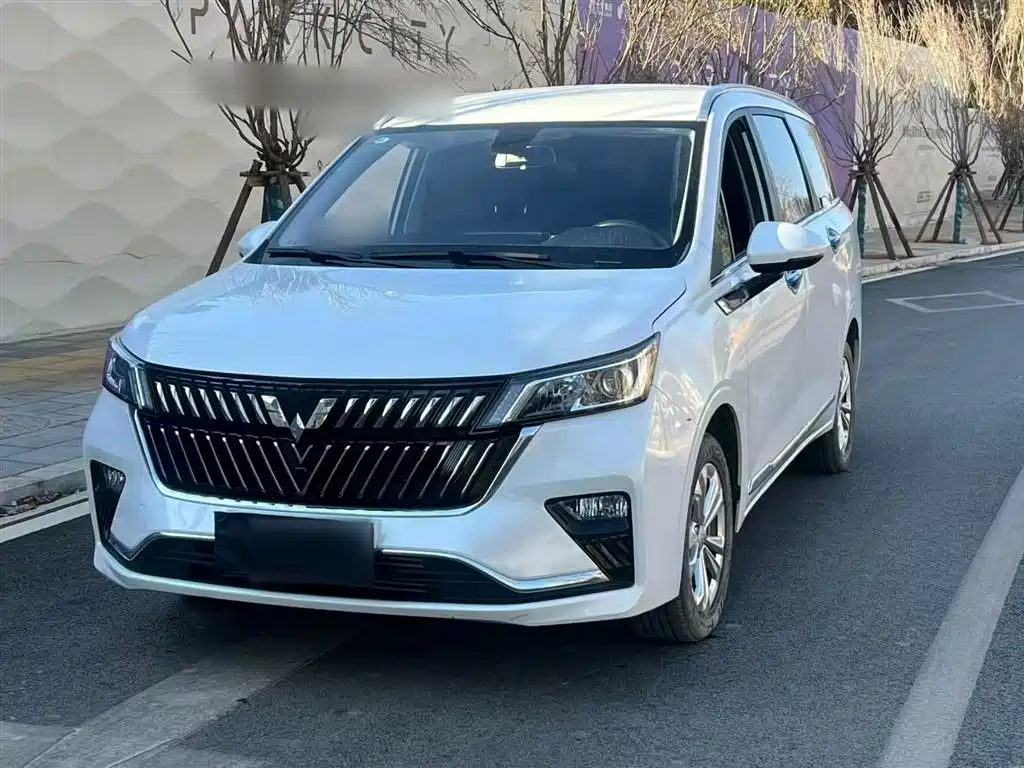 Купить Wuling Jiachen