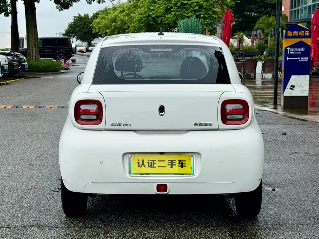 Ora Black Cat 2019 351km