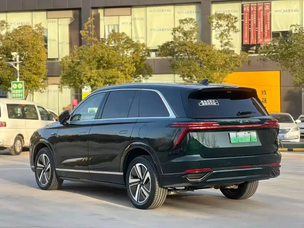 WEI PAI WEI BRAND BLUE MOUNTAIN