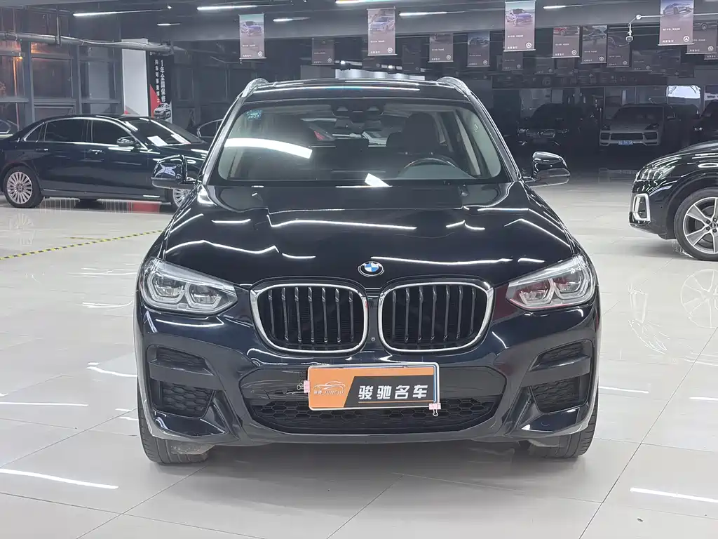 BMW X3 — миниатюра 2