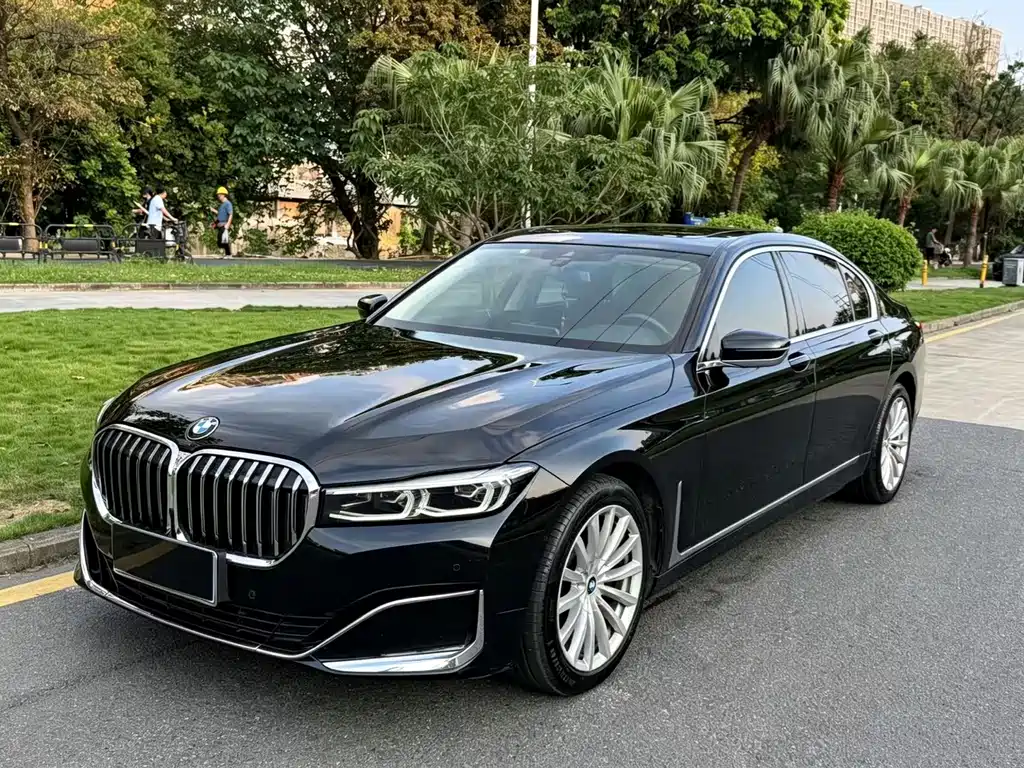 BMW 7 Series 7 2019 730Li Luxury