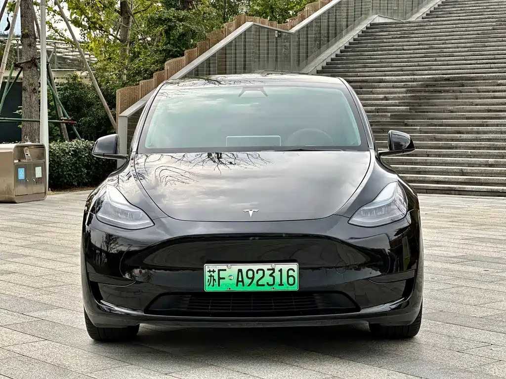 Tesla Model Y — миниатюра 2