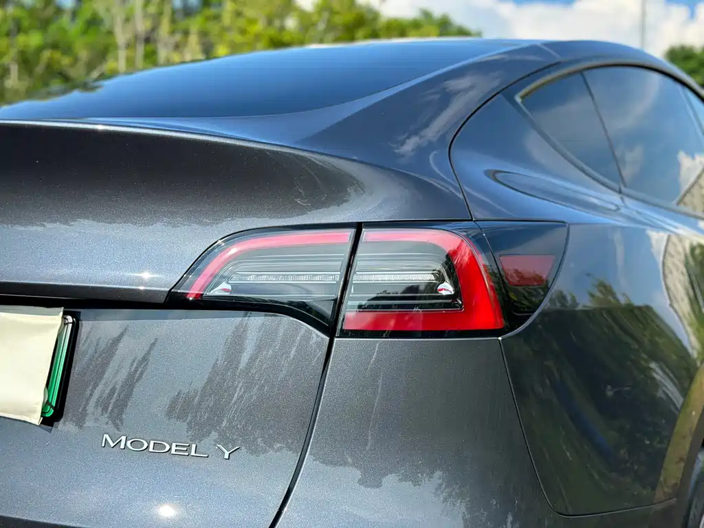 Tesla Model Y — миниатюра 10