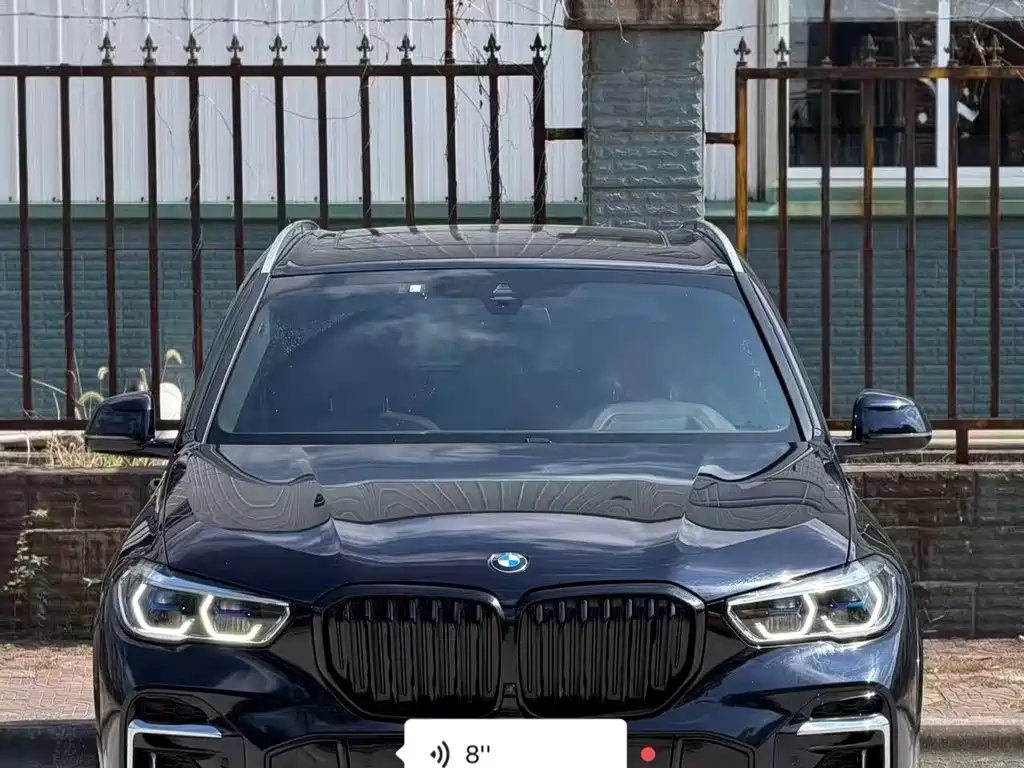 BMW X5 — миниатюра 2