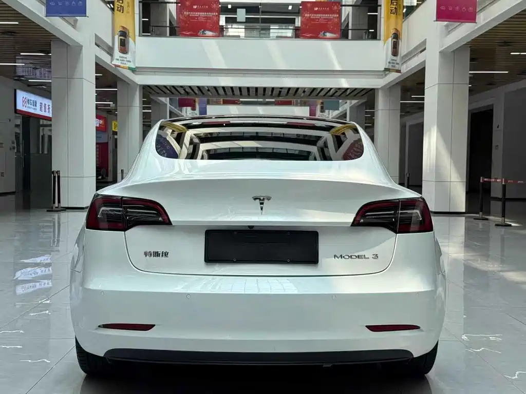Tesla Model 3 2021 3D6
