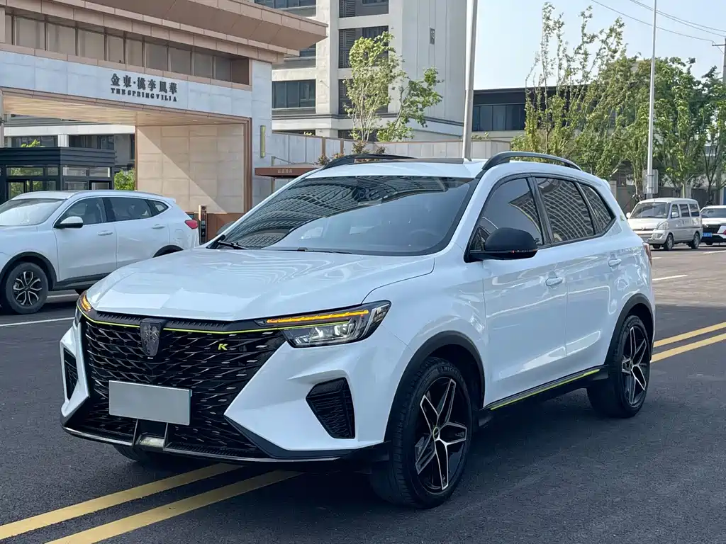 Купить Roewe RX5