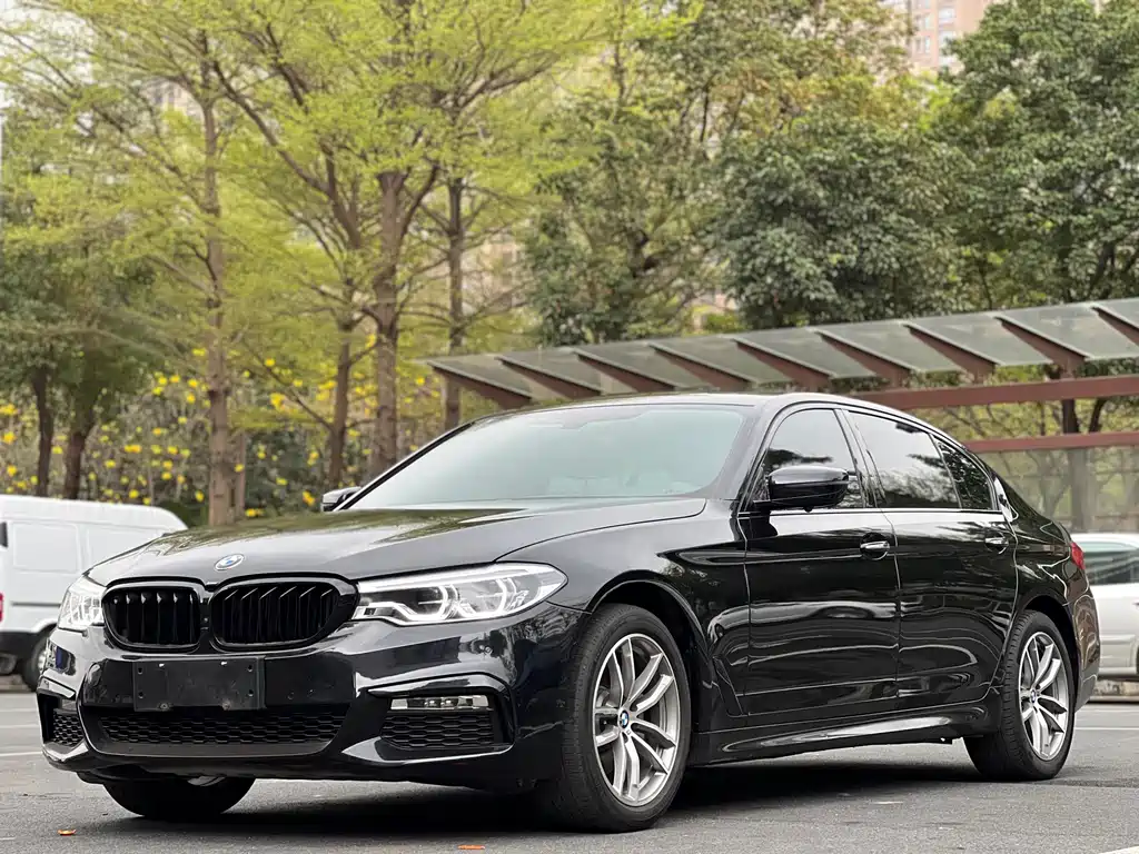 BMW 5 Series 2018