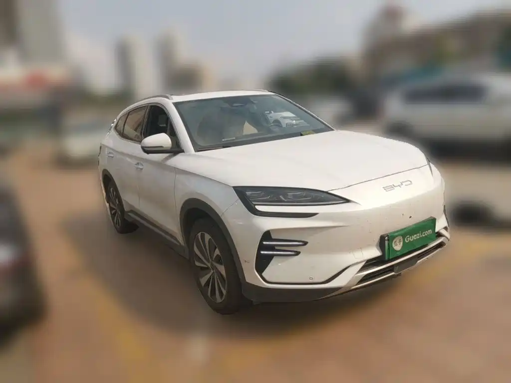BYD PLUS New Energy — миниатюра 25
