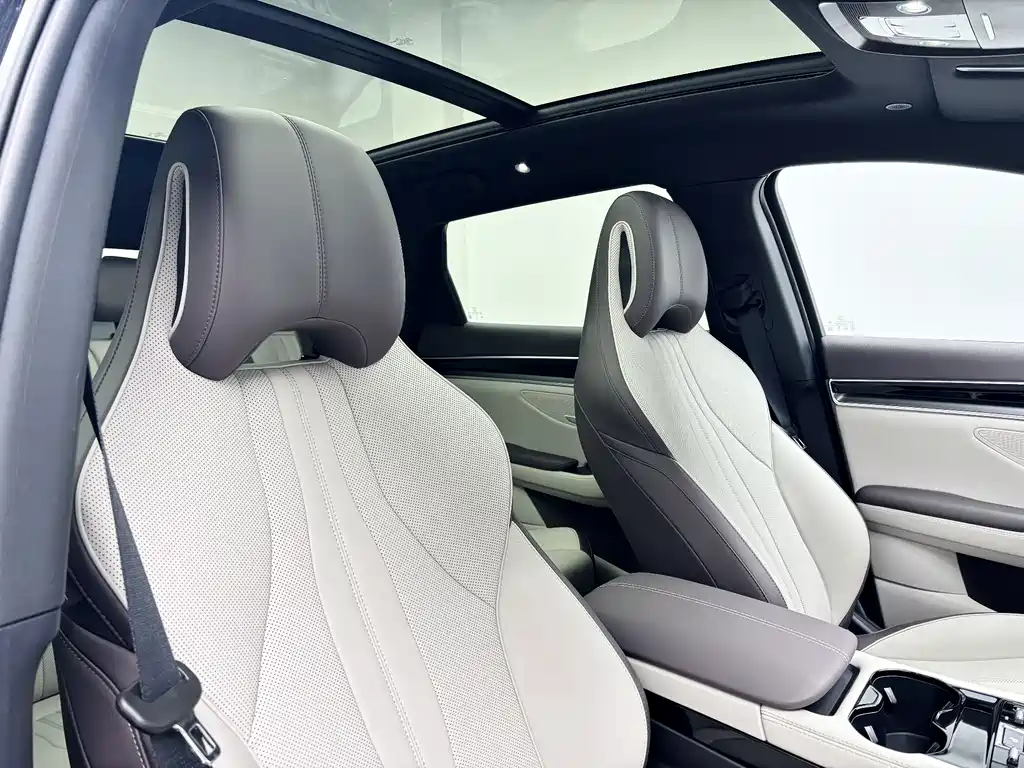 BYD SONGJIANG NEW ENERGY