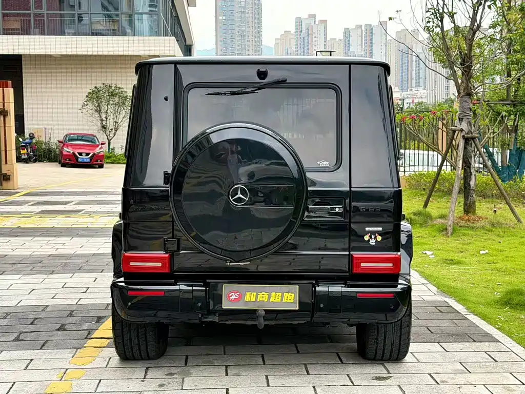 Mercedes-Benz G-Class G 2010 G 500