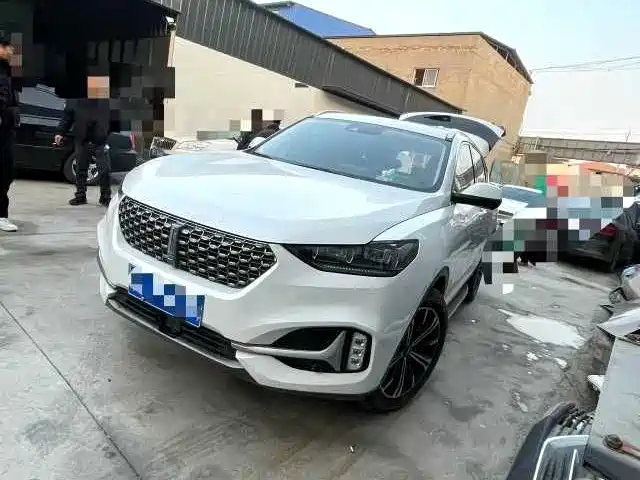 WEI PAI WEI BRAND VV6