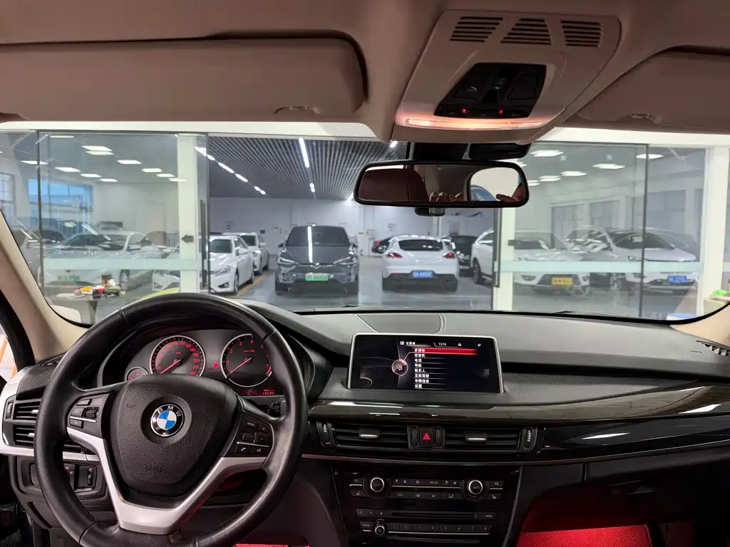 BMW X5 (Import) — миниатюра 10
