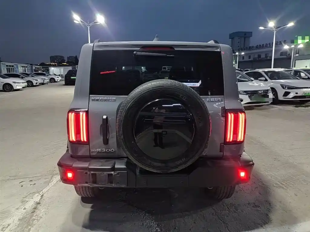 Tank 300 2024 2.0T