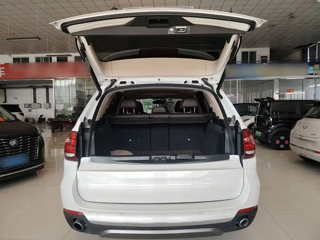 BMW X5 (Import) — миниатюра 19