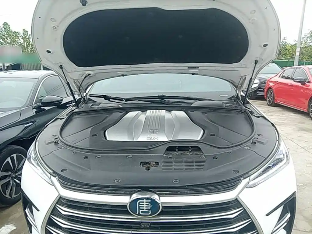 BYD Tang New Energy — миниатюра 20