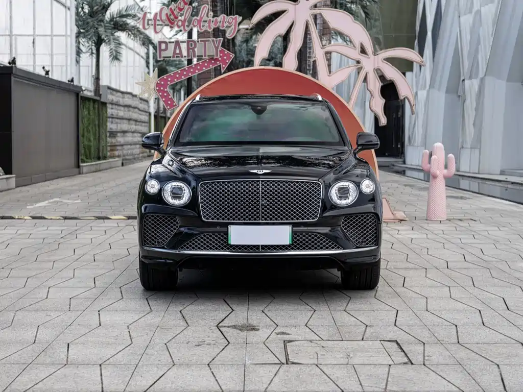 BENTLEY TIMYUE PLUG IN HYBRID