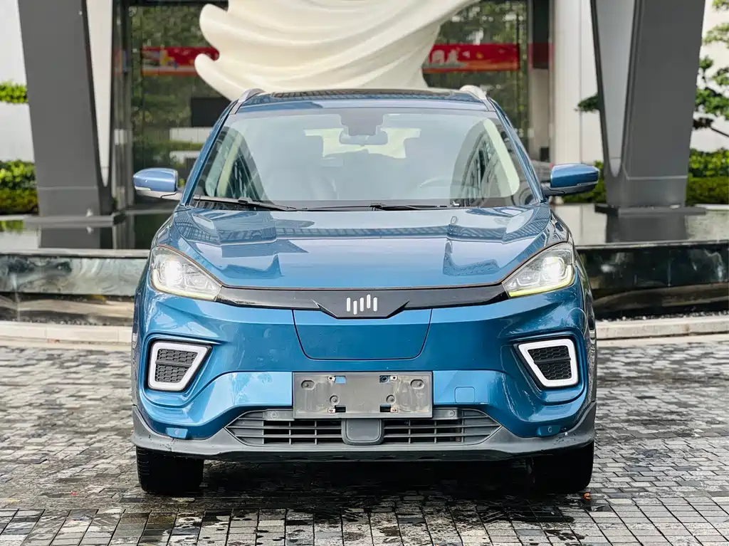 WM Motor EX5 — миниатюра 2