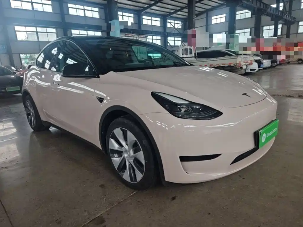 Tesla Model Y — миниатюра 4